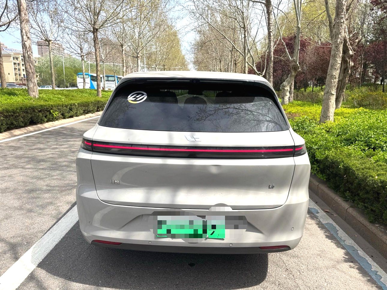 理想 2024款 L6 Pro 自动挡（2498）