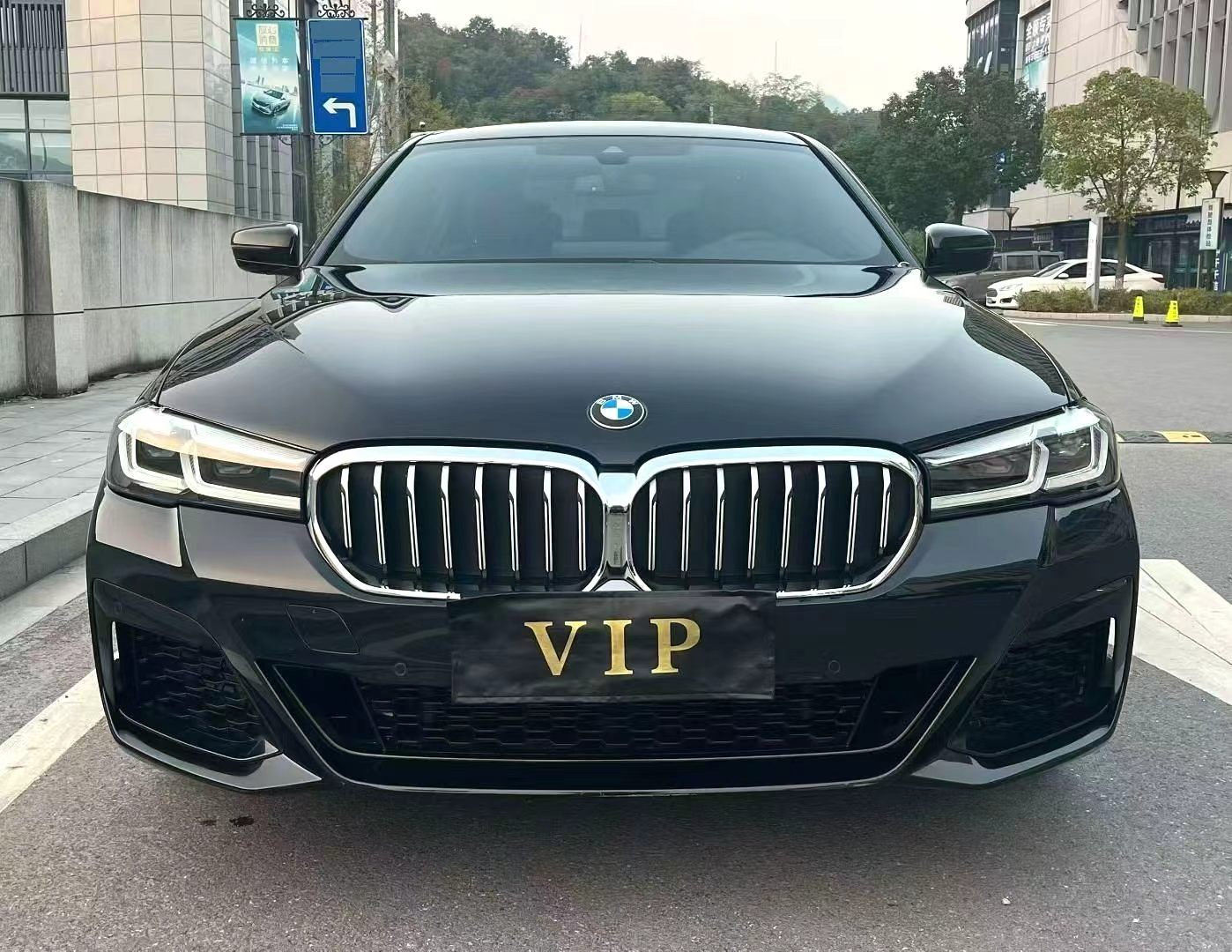 宝马 5系 2023款 530Li xDrive 2.0T M运动套装 自动挡（4919）
