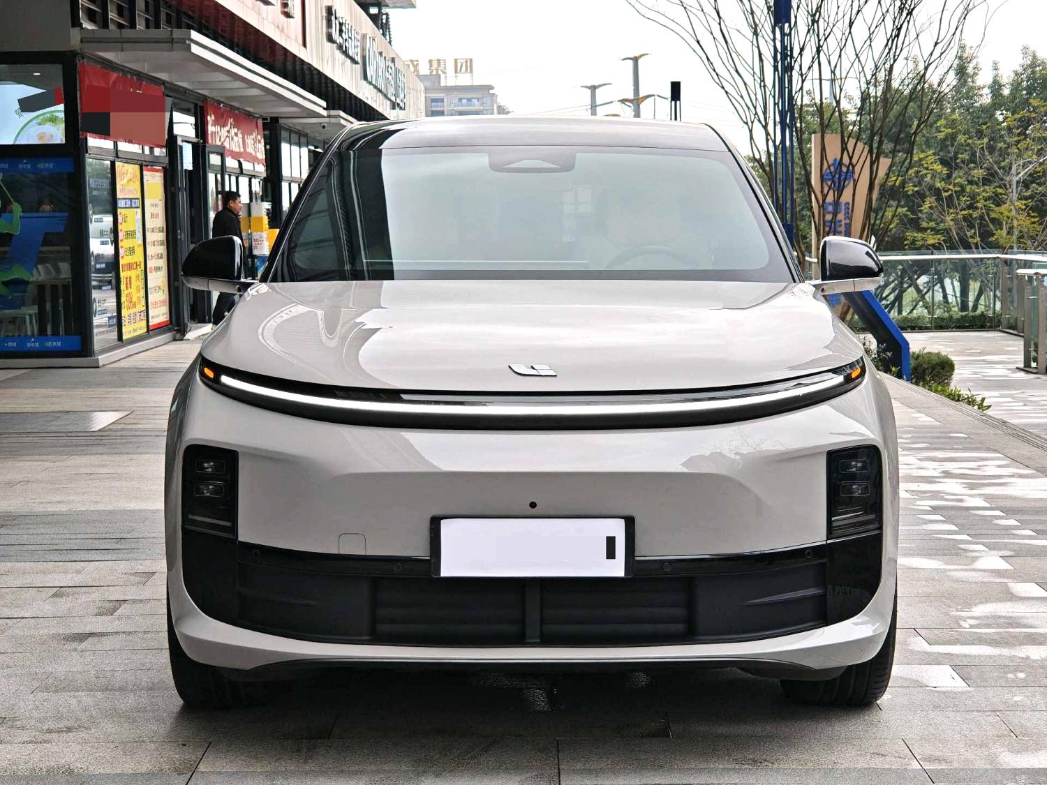 理想 2024款 L6 Pro 自动挡（2498）