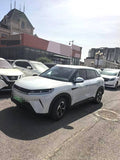 比亚迪 2024款 元 UP 301KM 领先型 自动挡（0968）