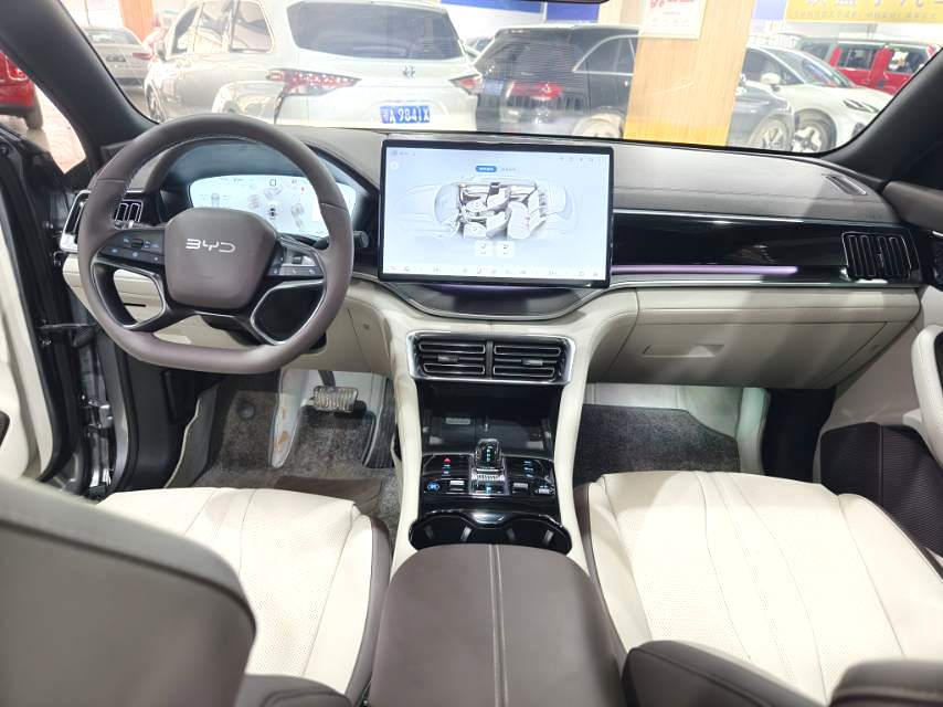 比亚迪 宋PLUS新能源 2025款 宋PLUS EV 智驾版 520km 尊贵型 自动挡（1598）