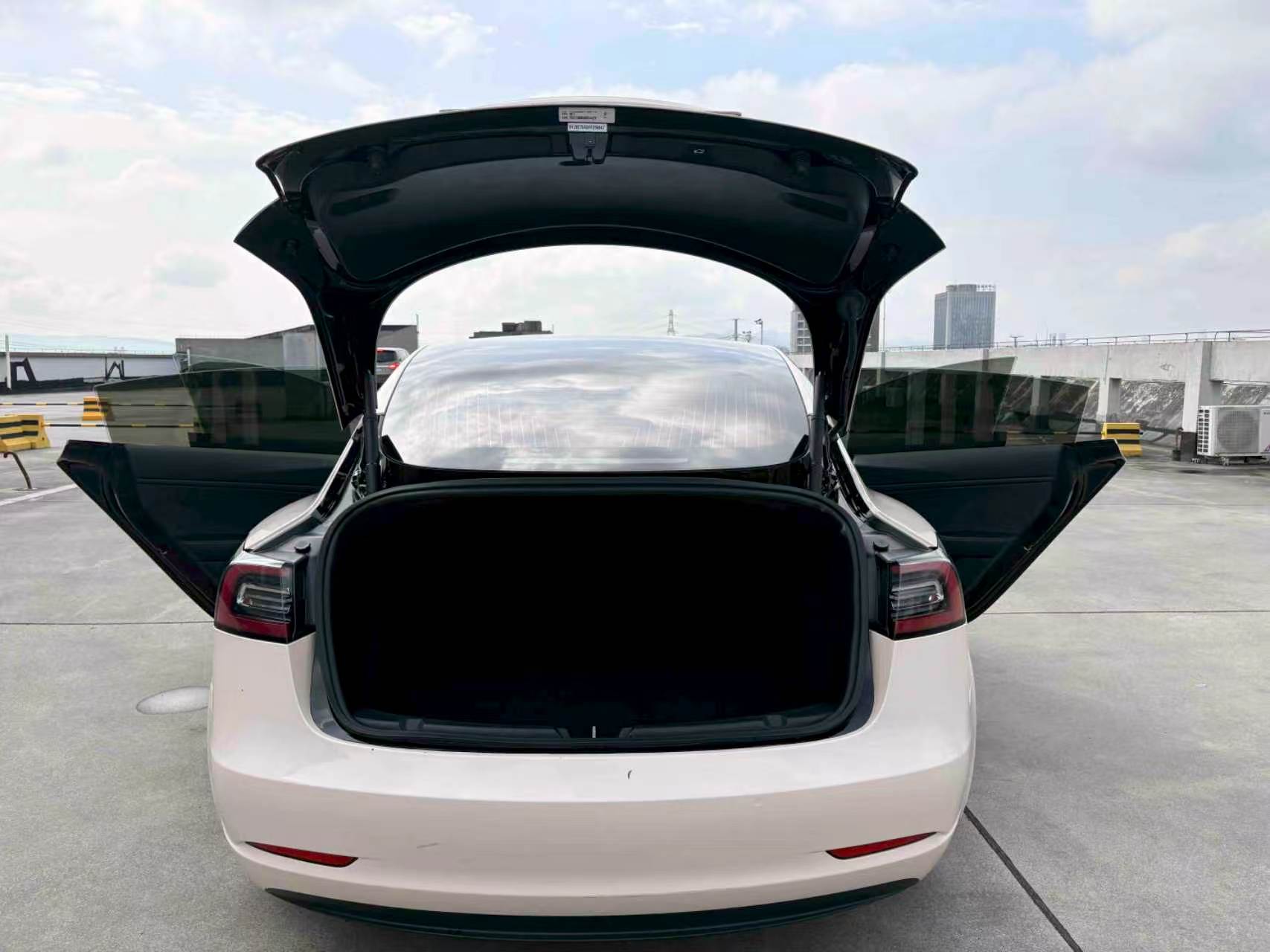 特斯拉 Model 3(进口)2019款Model 3长续航后驱版