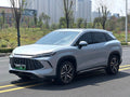 比亚迪 2024款 宋L DM-i 1.5 无级 160km 超越型 自动挡（1658）