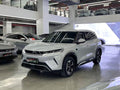 比亚迪 2025款 元 UP 智驾版 401KM 超越型 自动挡（1198）