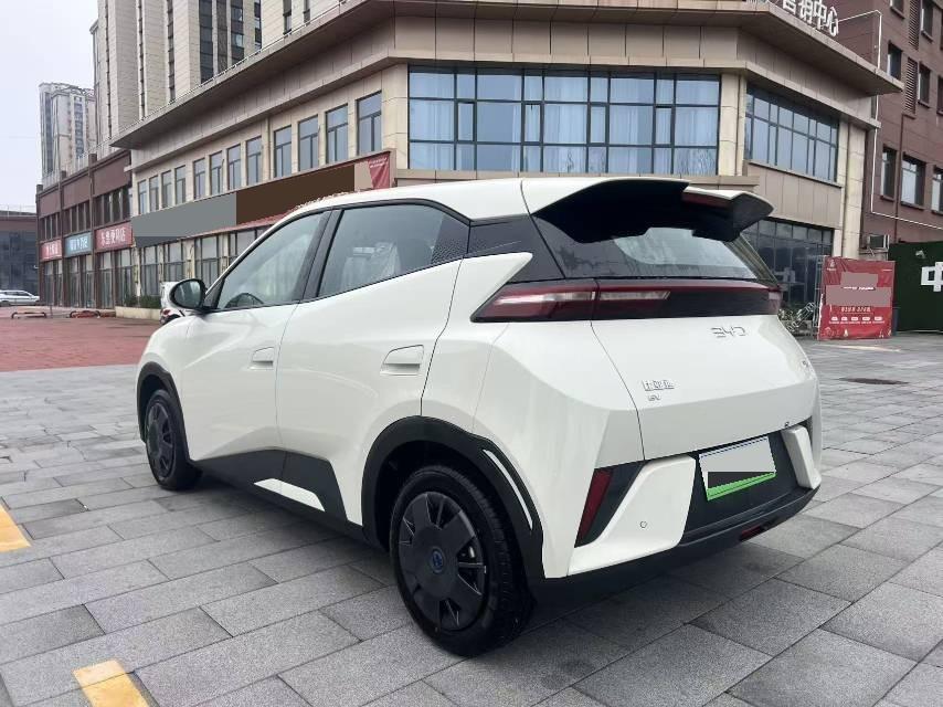 海鸥 比亚迪 2025款 海鸥 智驾版 305km 活力版 自动挡