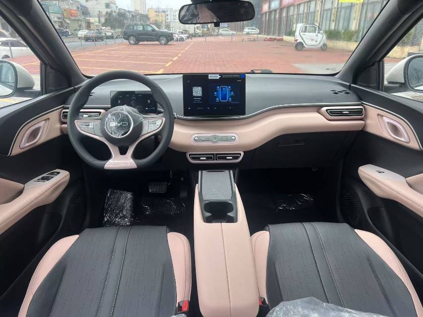 海鸥 比亚迪 2025款 海鸥 智驾版 305km 活力版 自动挡