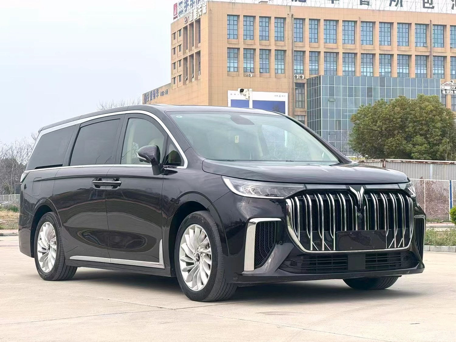 岚图 2024款 梦想家 PHEV 1.5T 超长续航卓越版 自动挡（3399）