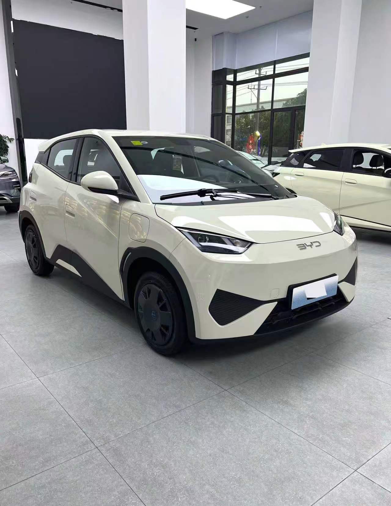 比亚迪 2025款 海鸥 305km 自由版 自动挡（0758）
