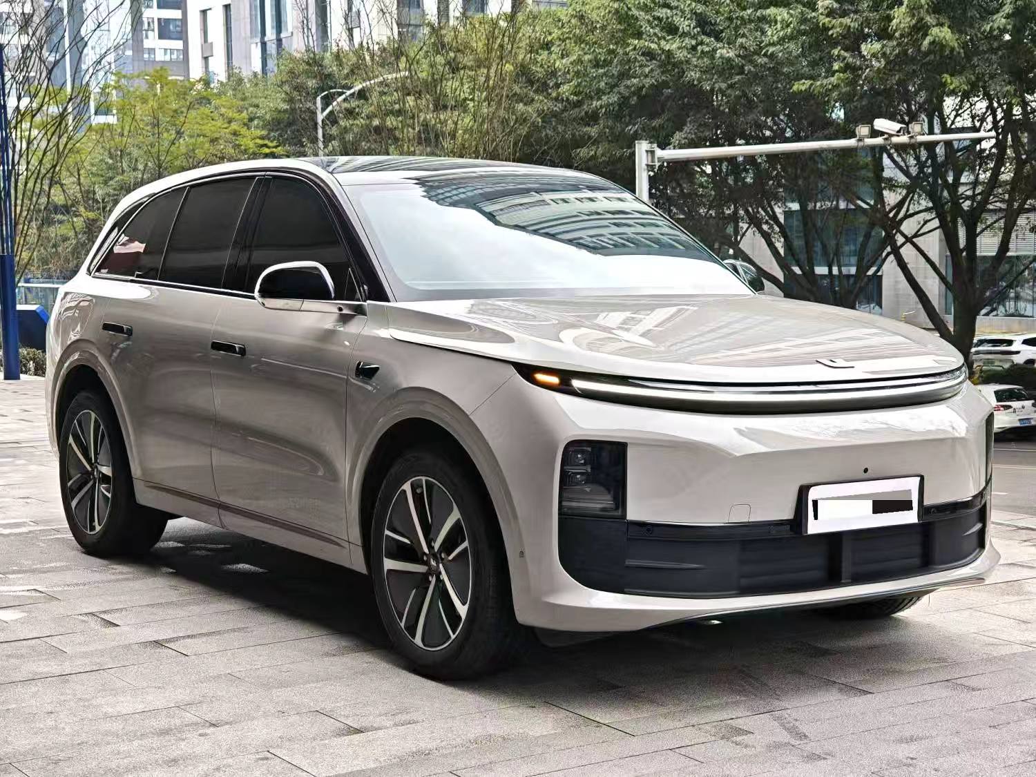 理想 2024款 L6 Pro 自动挡（2498）