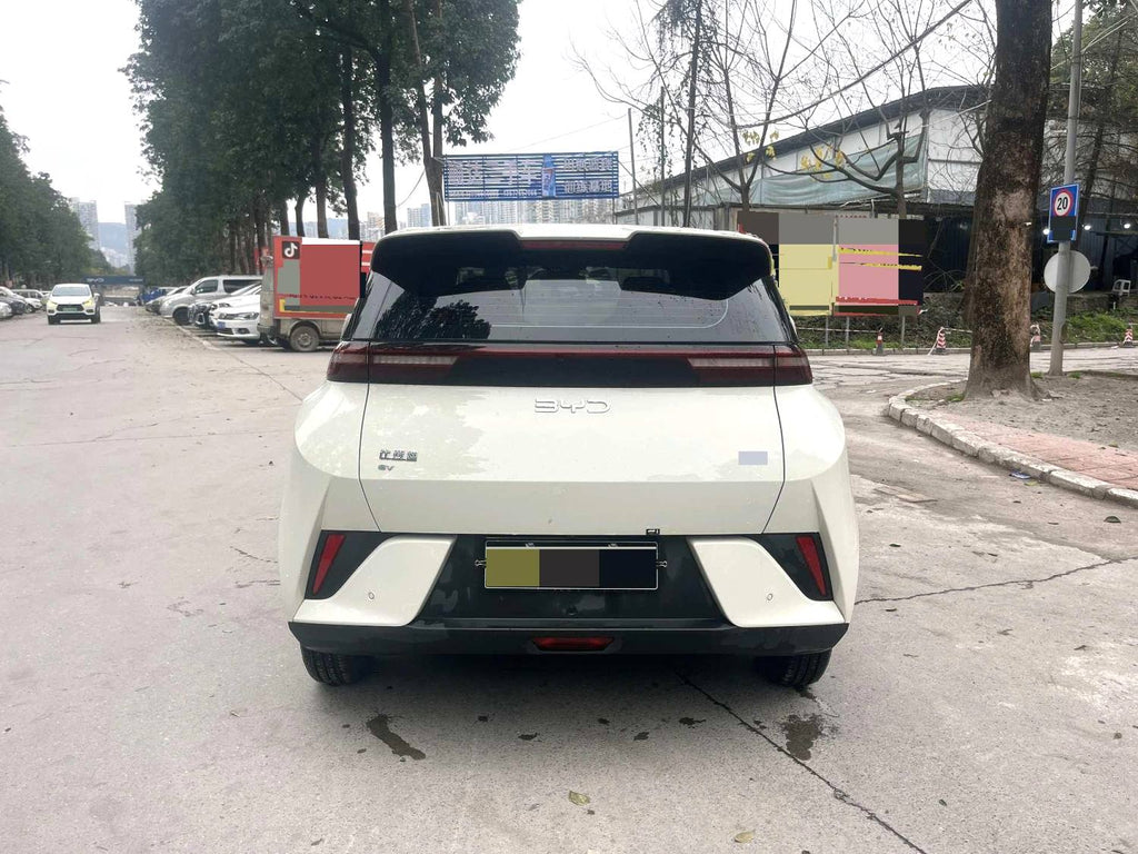 比亚迪 2025款 海鸥 智驾版 305km 活力版 自动挡（0698）
